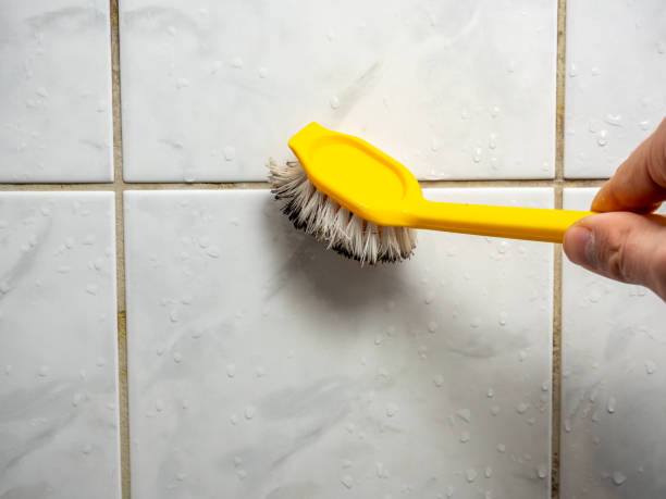 Best Local Mold Removal Service  in Baileyton, AL
