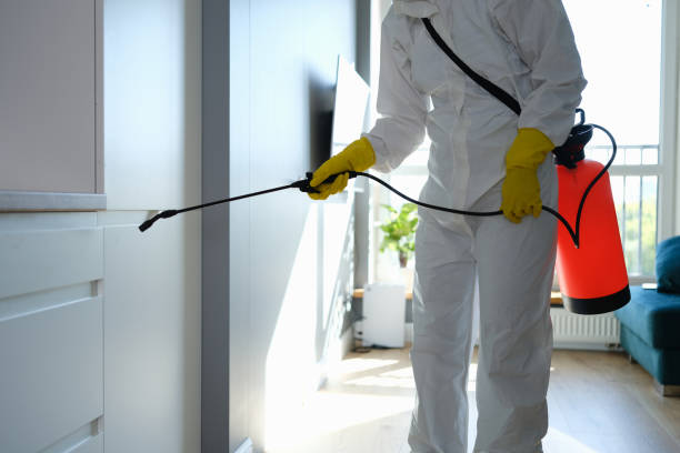 Best Mold Removal Process  in Baileyton, AL
