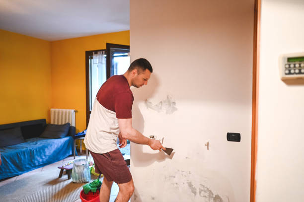Best Black Mold Removal  in Baileyton, AL